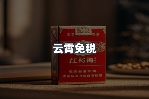 云霄免税